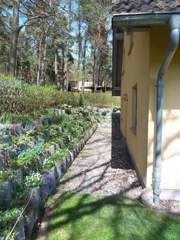 Ferienwohnung Amelie Heringsdorf  Buitenkant foto